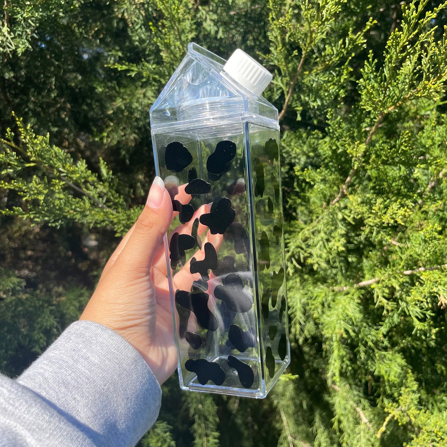 Black Cow Print Milk Carton Water Bottle