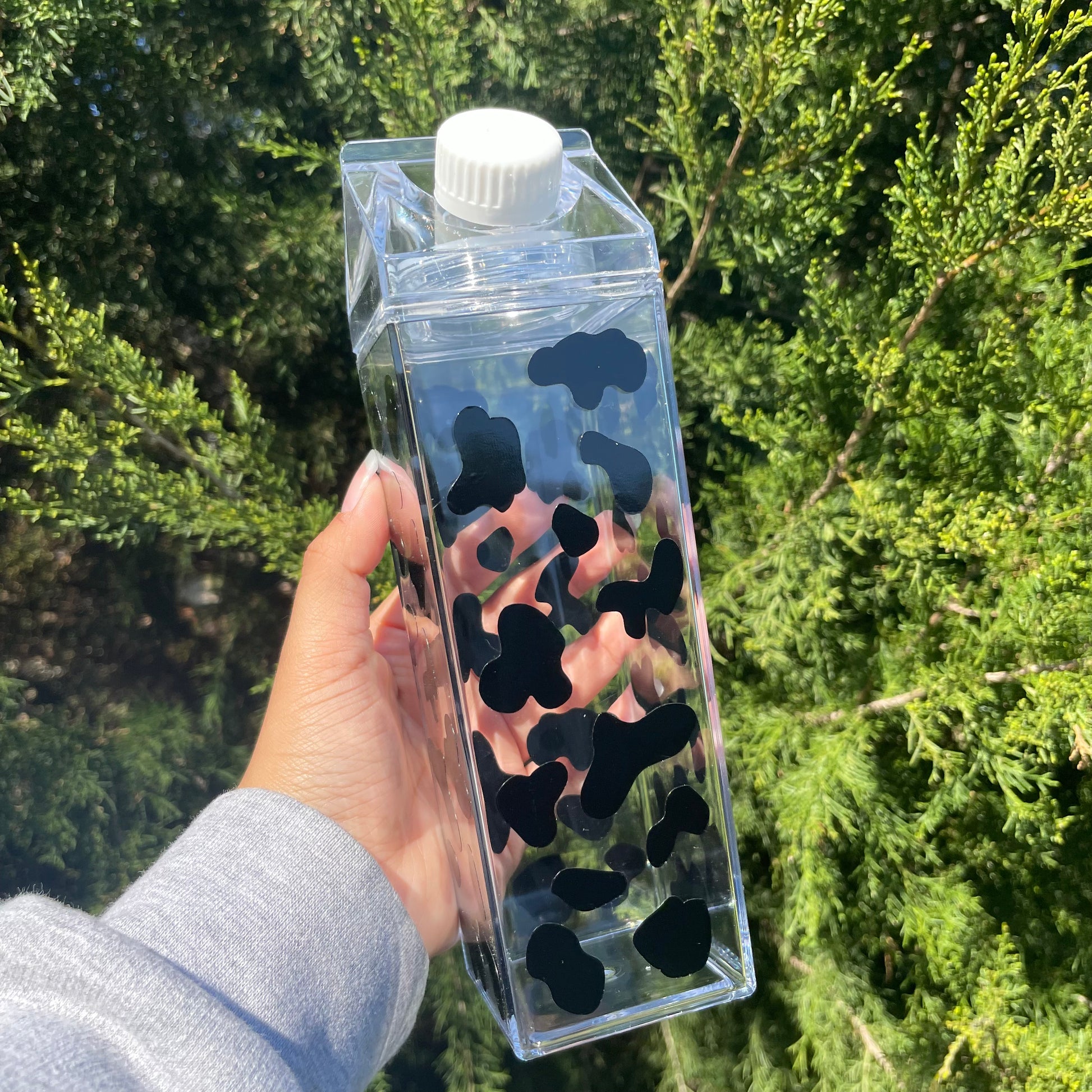Milk Carton Water Bottles